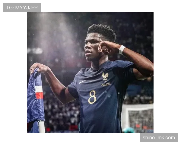 楚阿梅尼拦截能力亮眼，助球队防线固若金汤