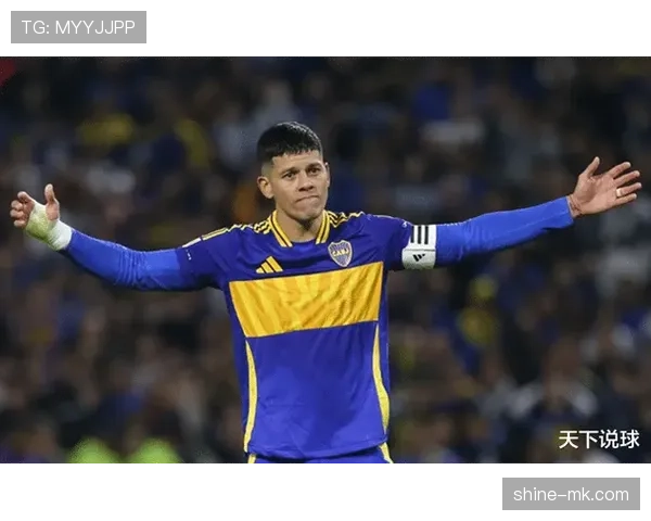 足球新秀焦点：多位年轻球员本赛季表现稳健，持续提升竞争力