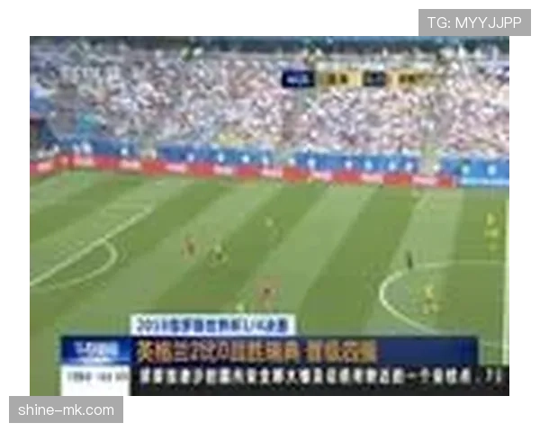 瑞典世界杯赔率变化解读